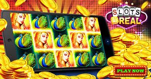 ckc bet com ckc bet com